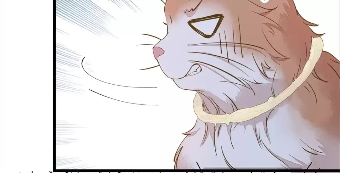 Read My Assassin Consort chapter 57 image 76 on Lezhin