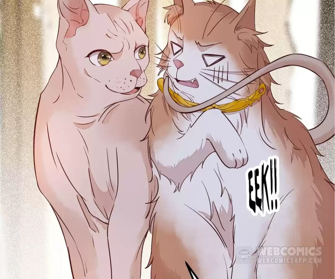 Read My Assassin Consort chapter 57 image 78 on Lezhin