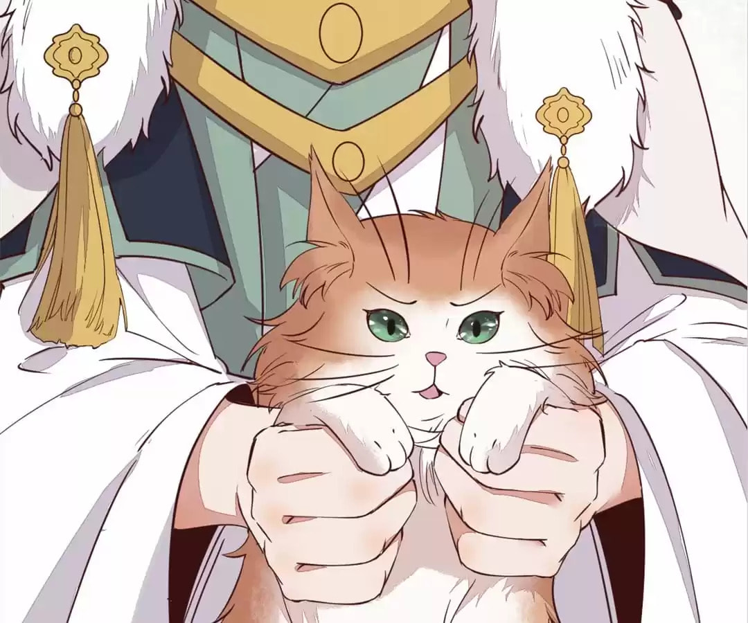 Read My Assassin Consort chapter 57 image 83 on Lezhin