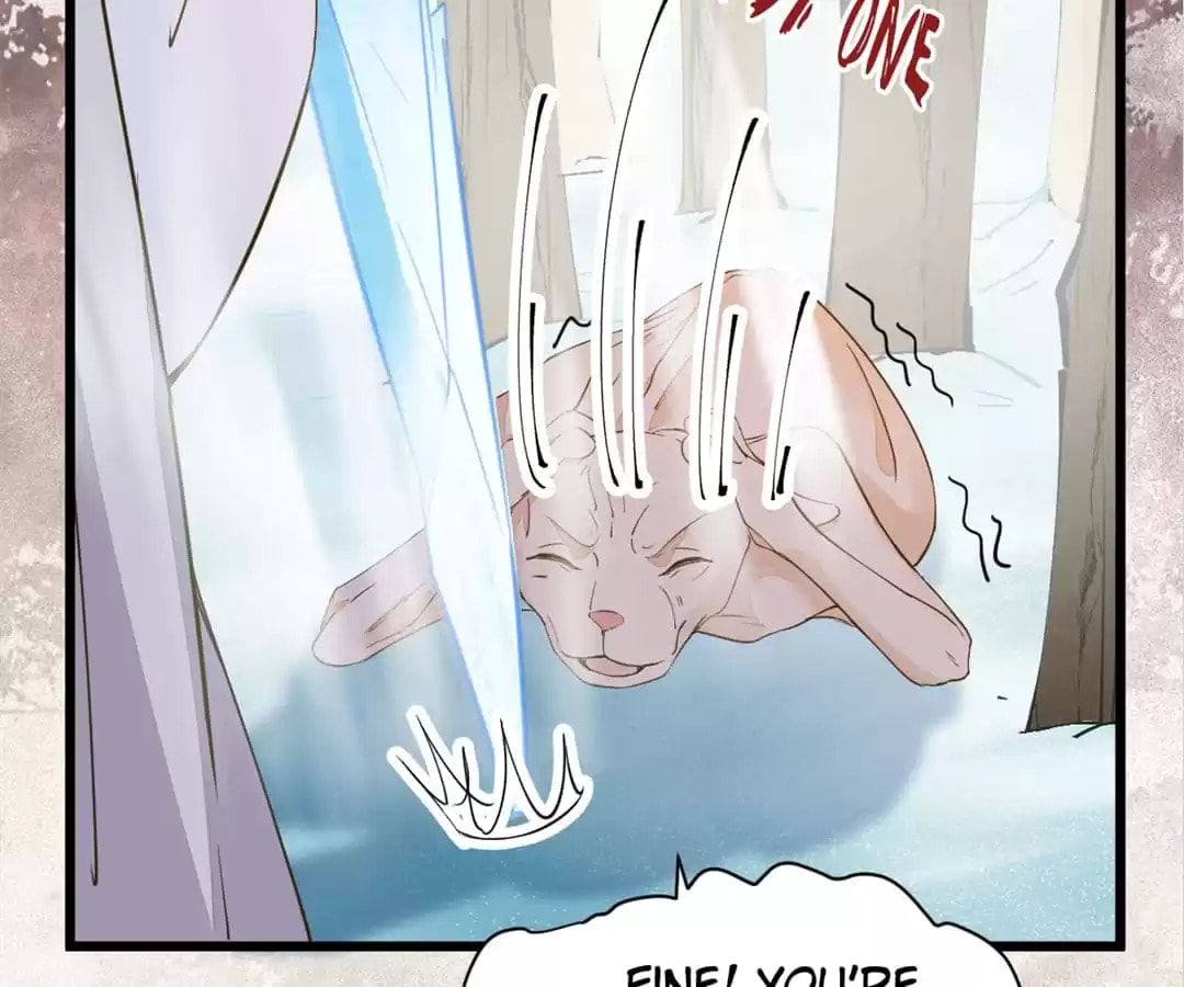 Read My Assassin Consort chapter 58 image 11 on Lezhin