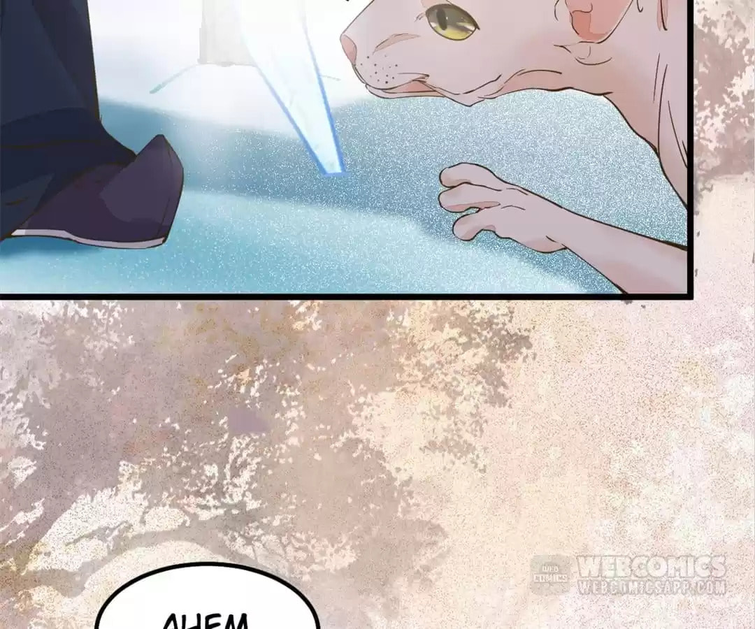 Read My Assassin Consort chapter 58 image 14 on Lezhin