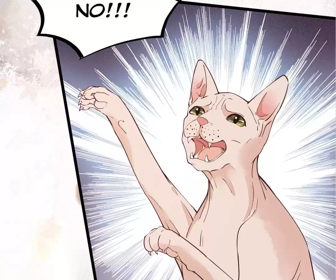 Read My Assassin Consort chapter 58 image 32 on Lezhin