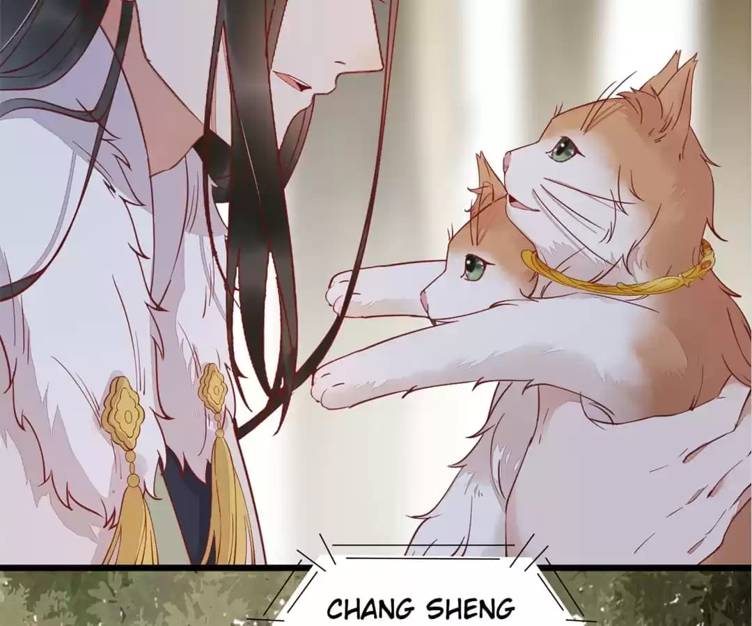 Read My Assassin Consort chapter 58 image 37 on Lezhin