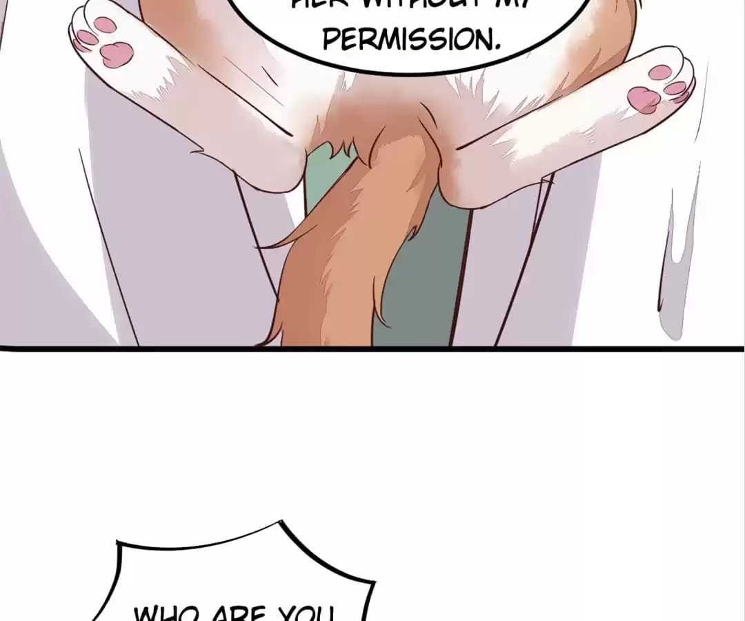 Read My Assassin Consort chapter 58 image 4 on Lezhin