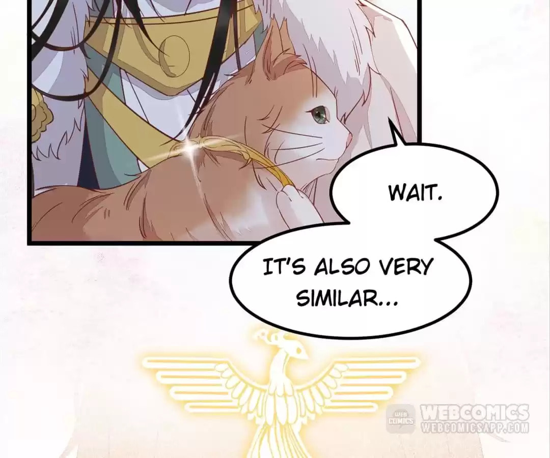 Read My Assassin Consort chapter 58 image 70 on Lezhin