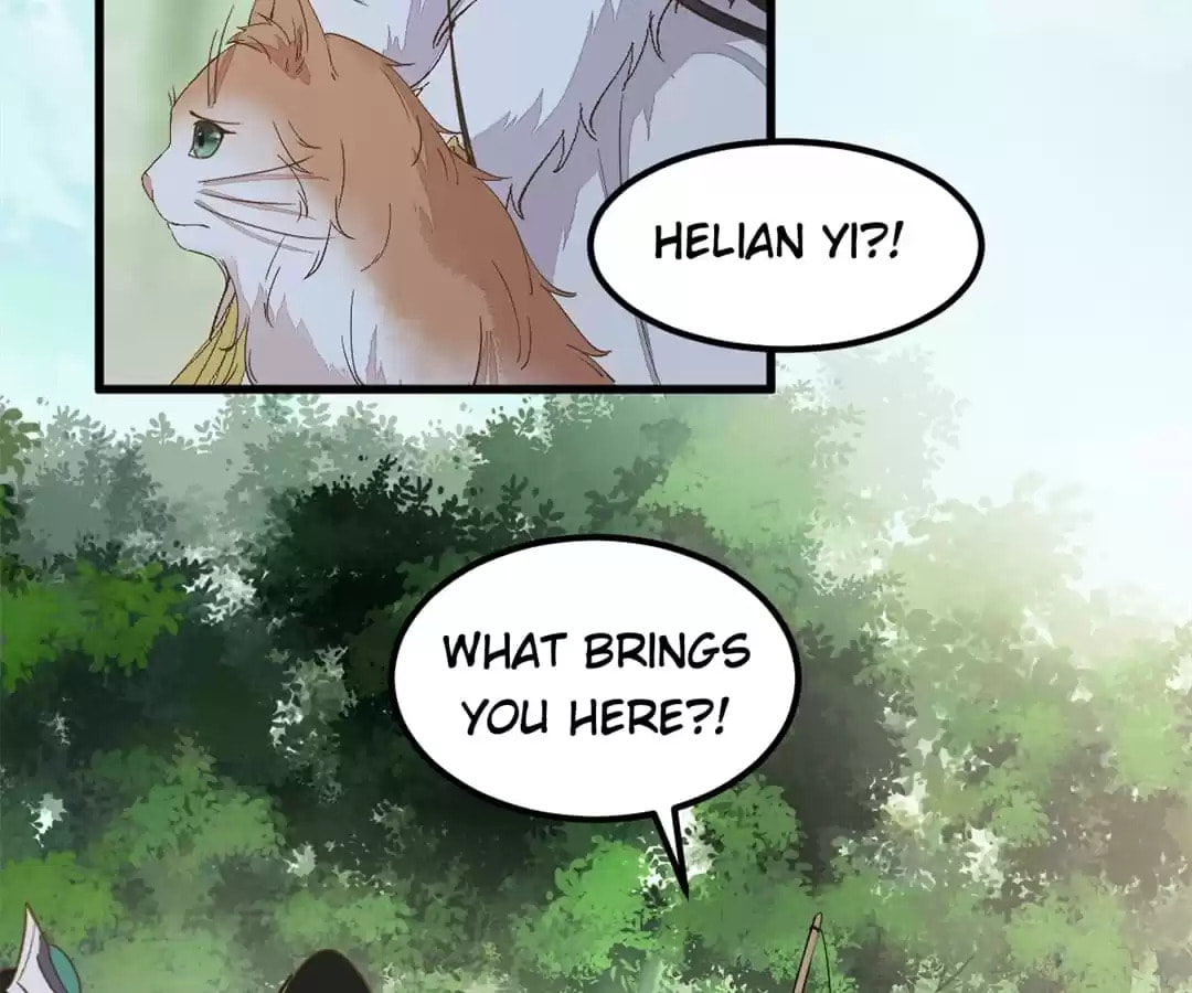 Read My Assassin Consort chapter 59 image 61 on Lezhin