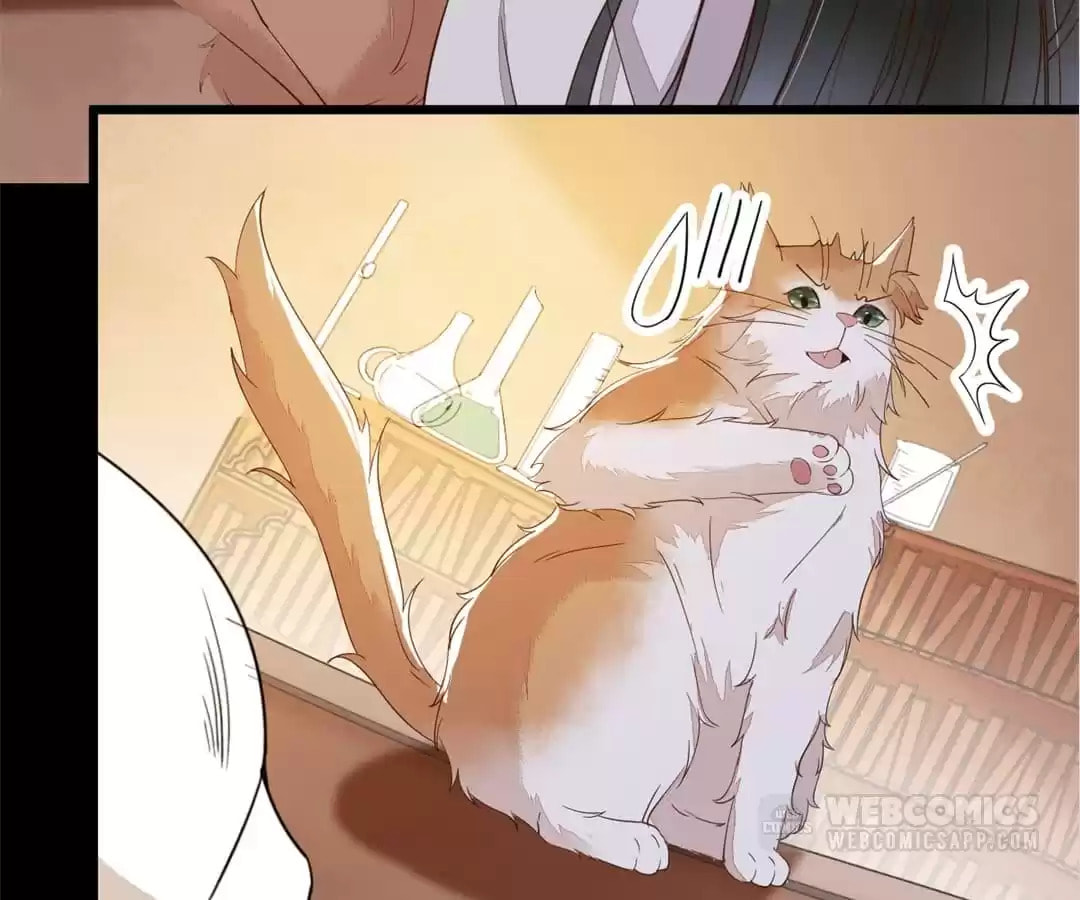 Read My Assassin Consort chapter 60 image 38 on Lezhin