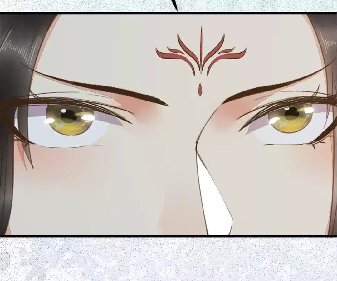 Read My Assassin Consort chapter 61 image 61 on Lezhin