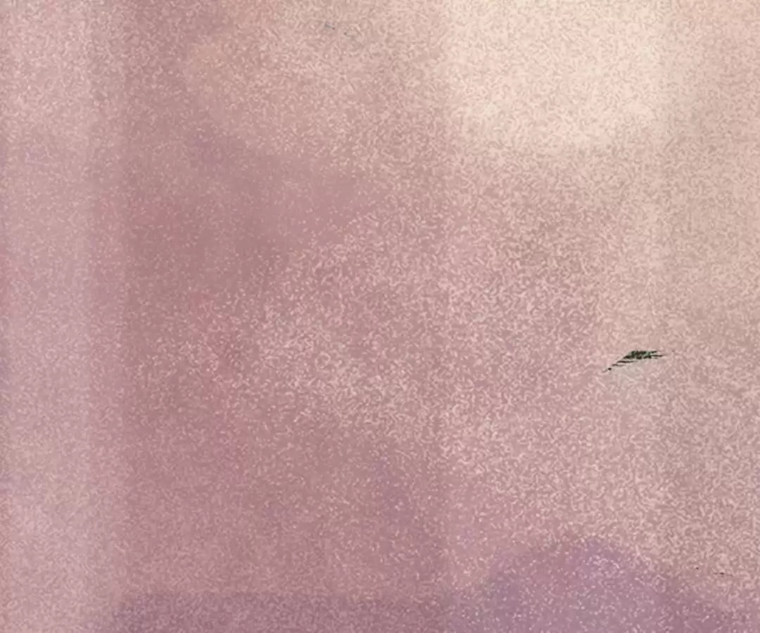 Read My Assassin Consort chapter 99 image 80 on Lezhin