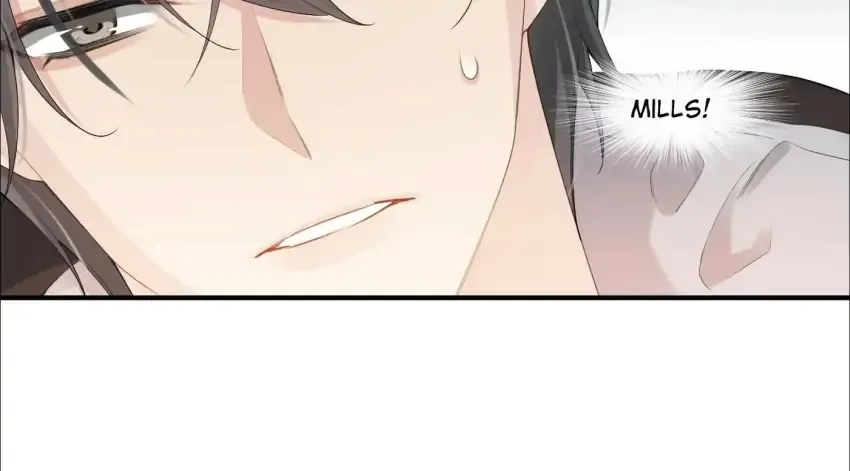 Read My Babe chapter 12 image 44 on Lezhin