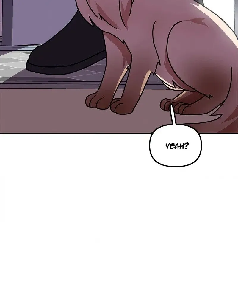 Read My Babe chapter 55 image 9 on Lezhin