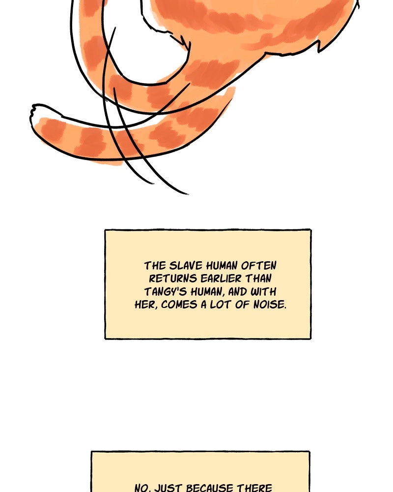 Read My Babe chapter 61 image 66 on Lezhin