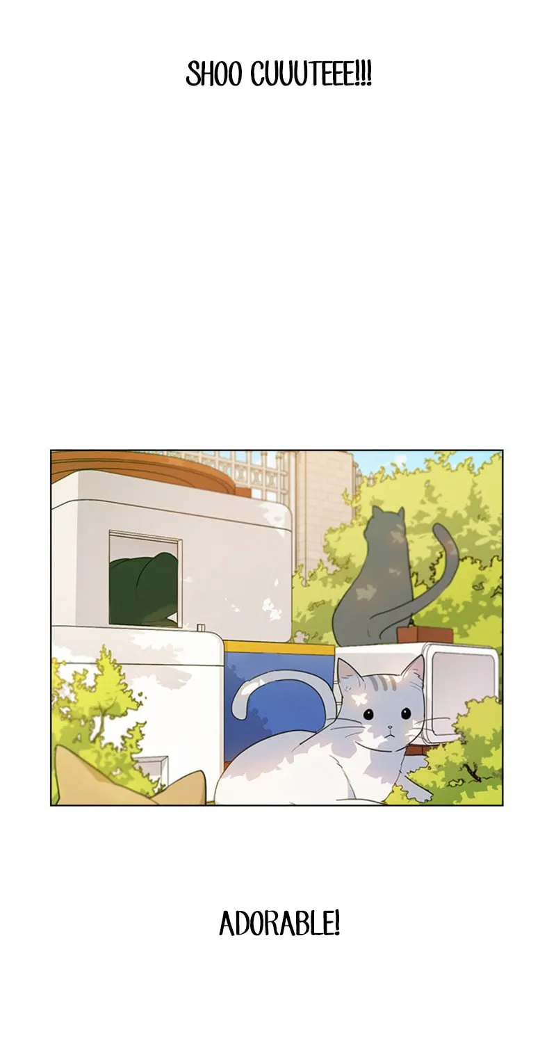 Read My Bad Boyfriend chapter 7 image 63 on Lezhin