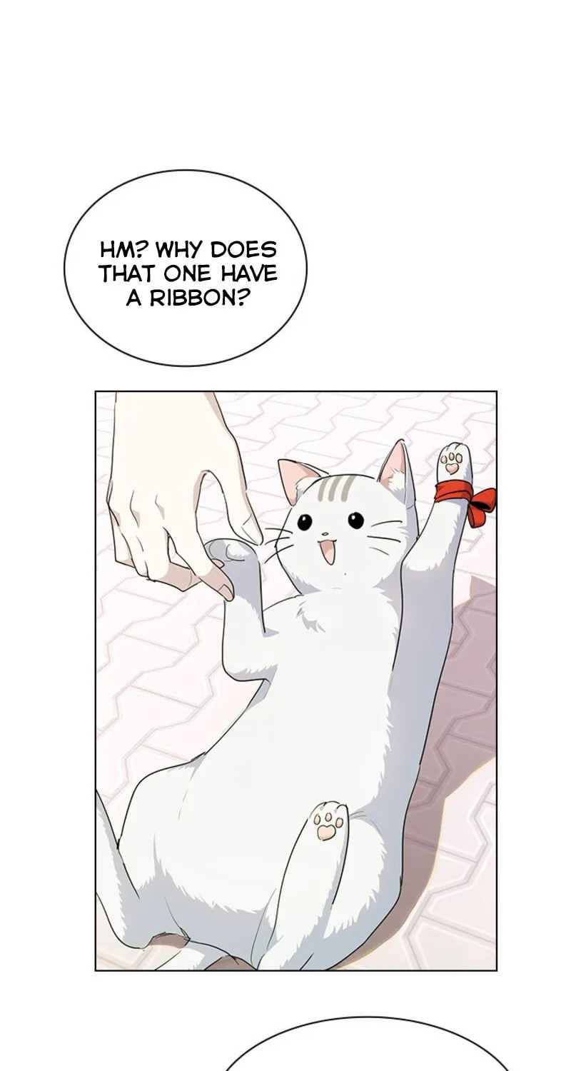 Read My Bad Boyfriend chapter 7 image 65 on Lezhin