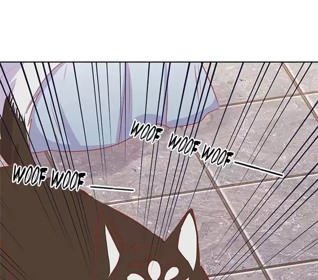My Badboy Prince Chapter 66 page 13 - 