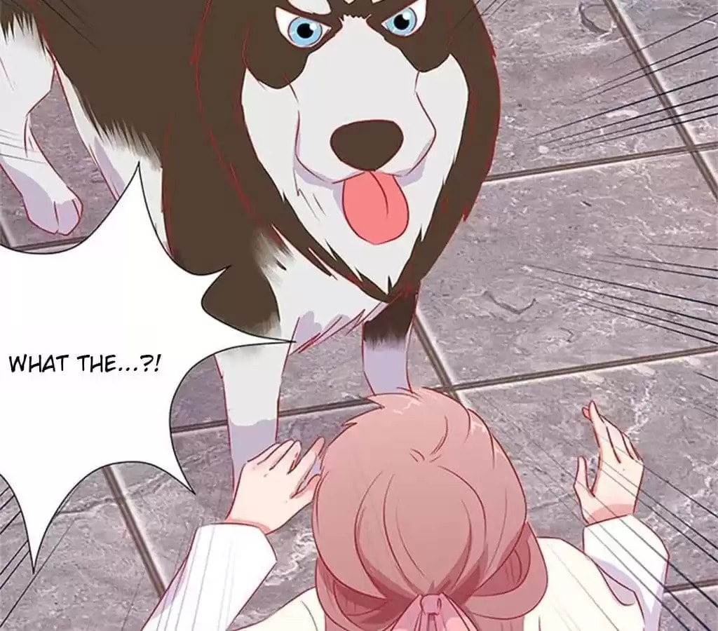 My Badboy Prince Chapter 66 page 14 - 