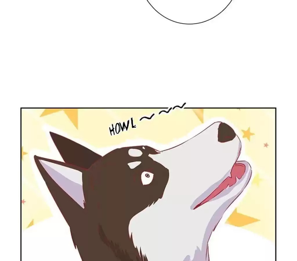My Badboy Prince Chapter 66 page 37 - 