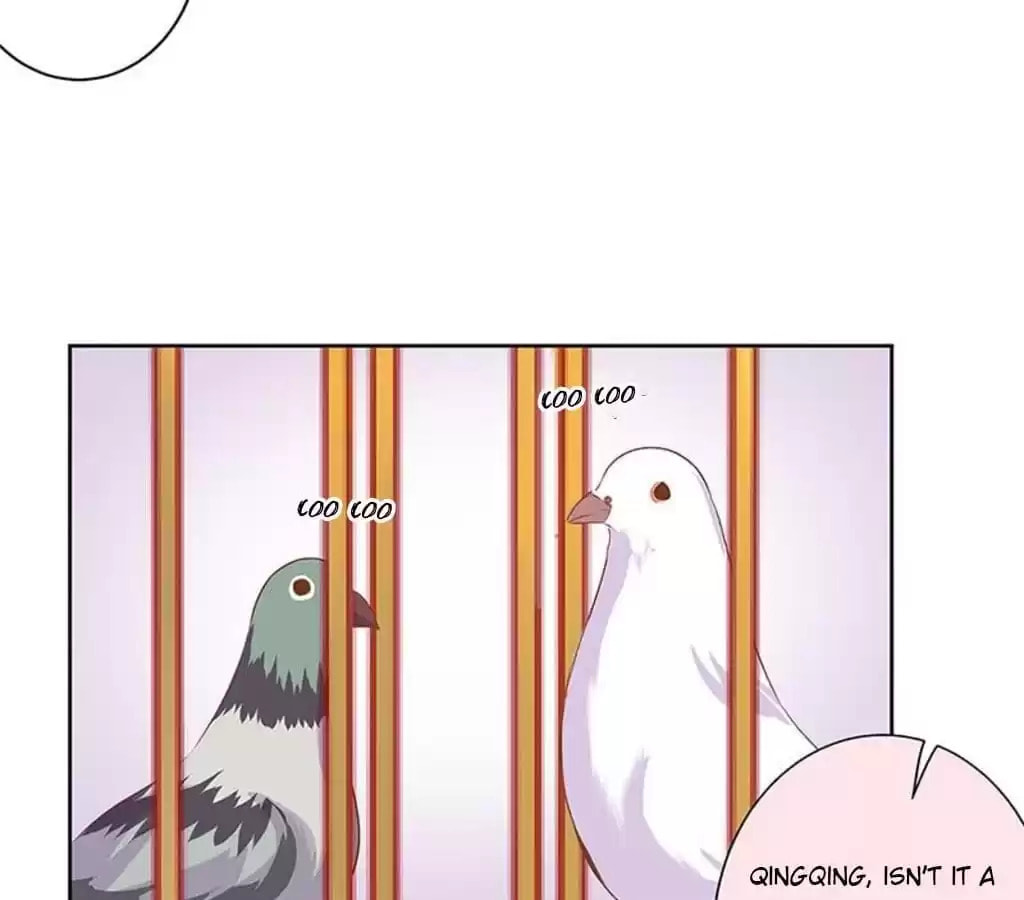 My Badboy Prince Chapter 76 page 41 - 