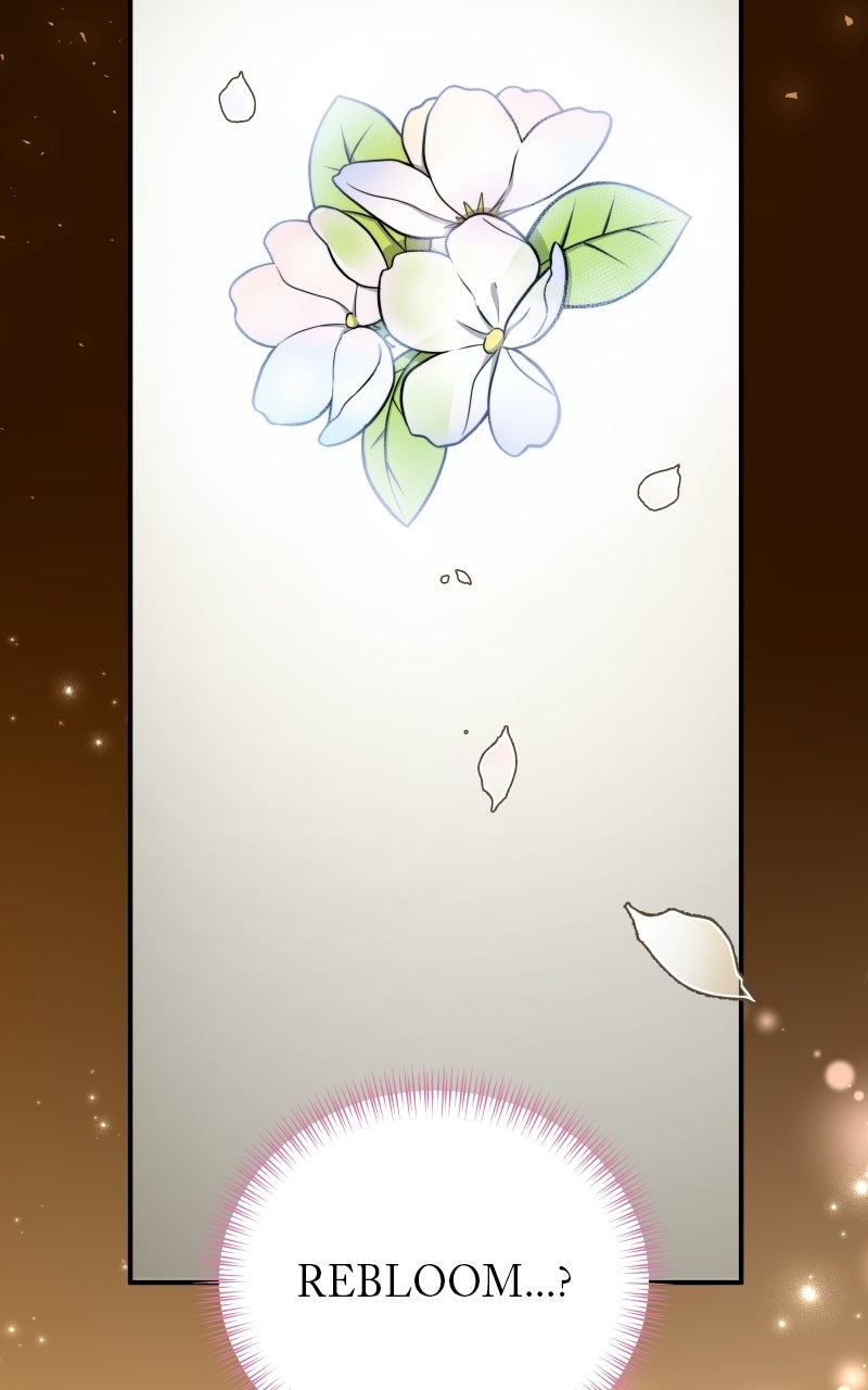 My Bias isObsessed with Me Ep. 19 - A Flower Of Miracles page 25 - 