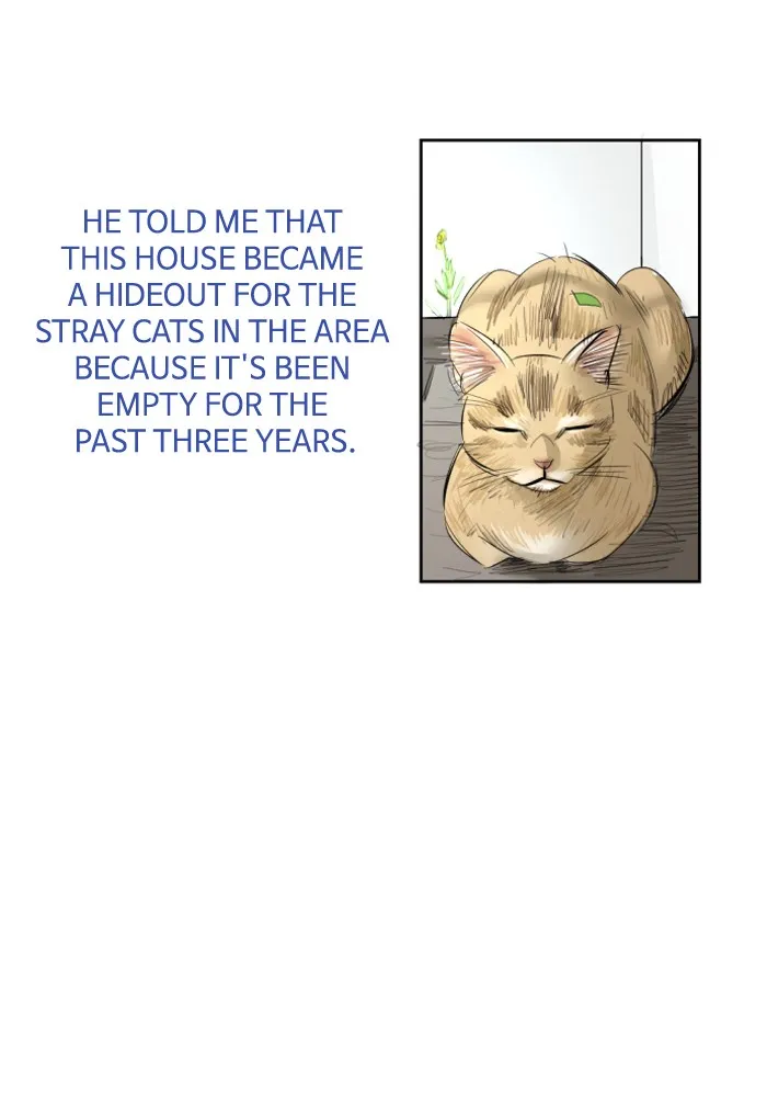 Read My Boo chapter 5 image 43 on Lezhin