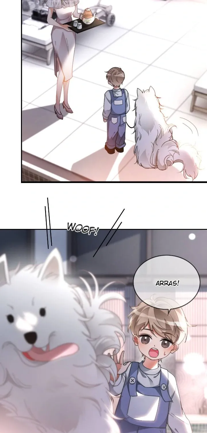 My Brothers Dote On Me Chapter 251 page 3 - 