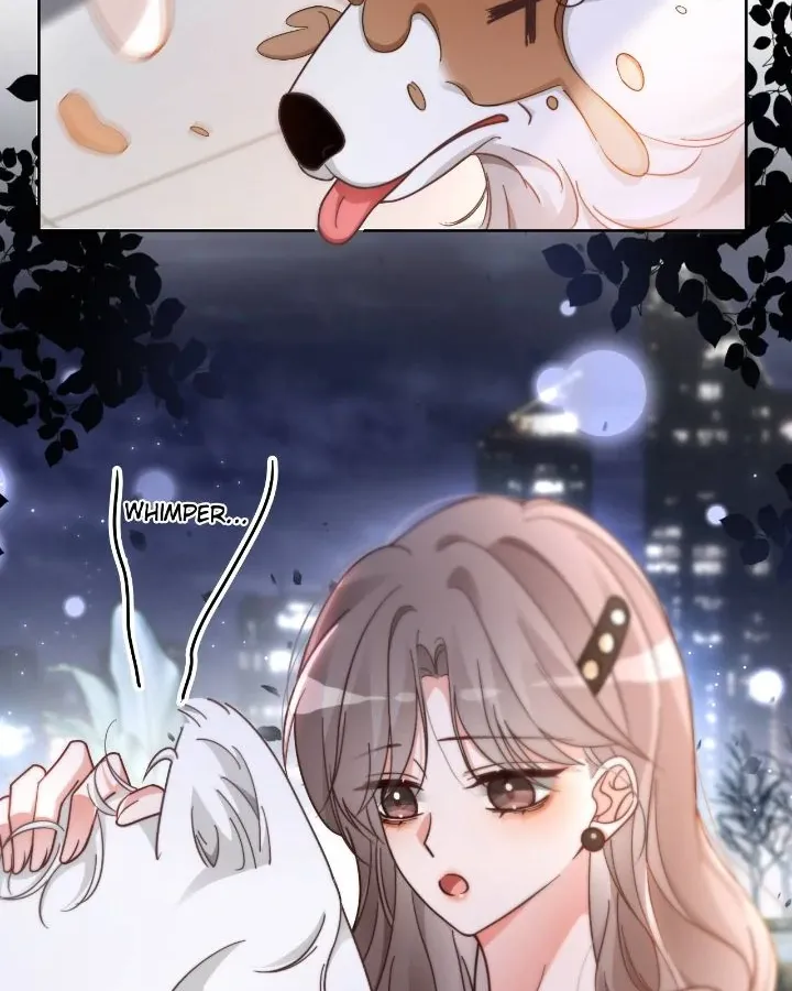 My Brothers Dote On Me Chapter 251 page 6 - 