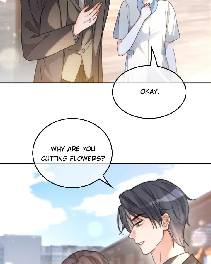 My Brothers Dote On Me Chapter 258 page 11 - 