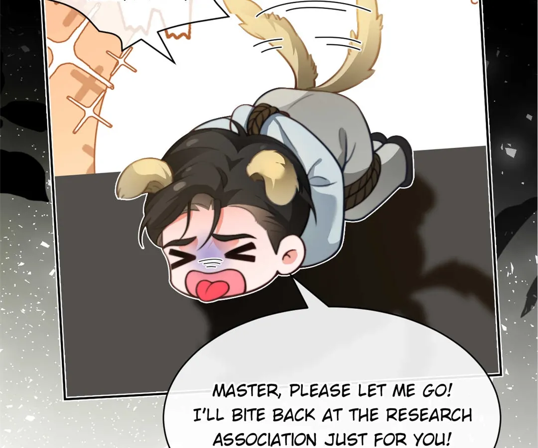 My Brothers Dote On Me Chapter 288 page 7 - 