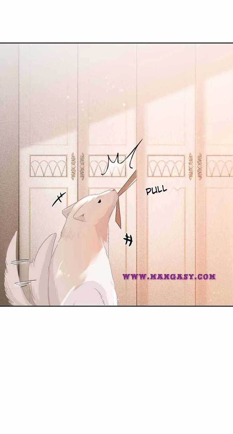 My Brothers Dote On Me Chapter 56 page 31 - 