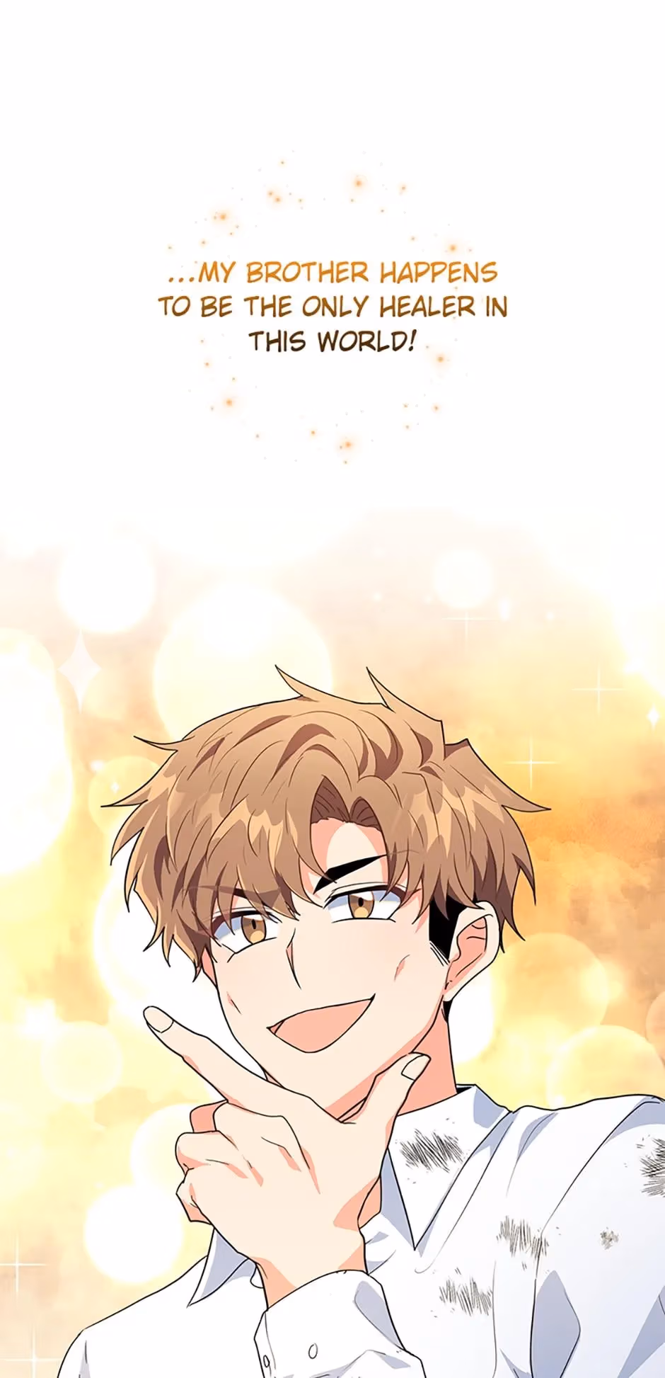 My Brothers, the Protagonists Chapter 30 page 15 - 