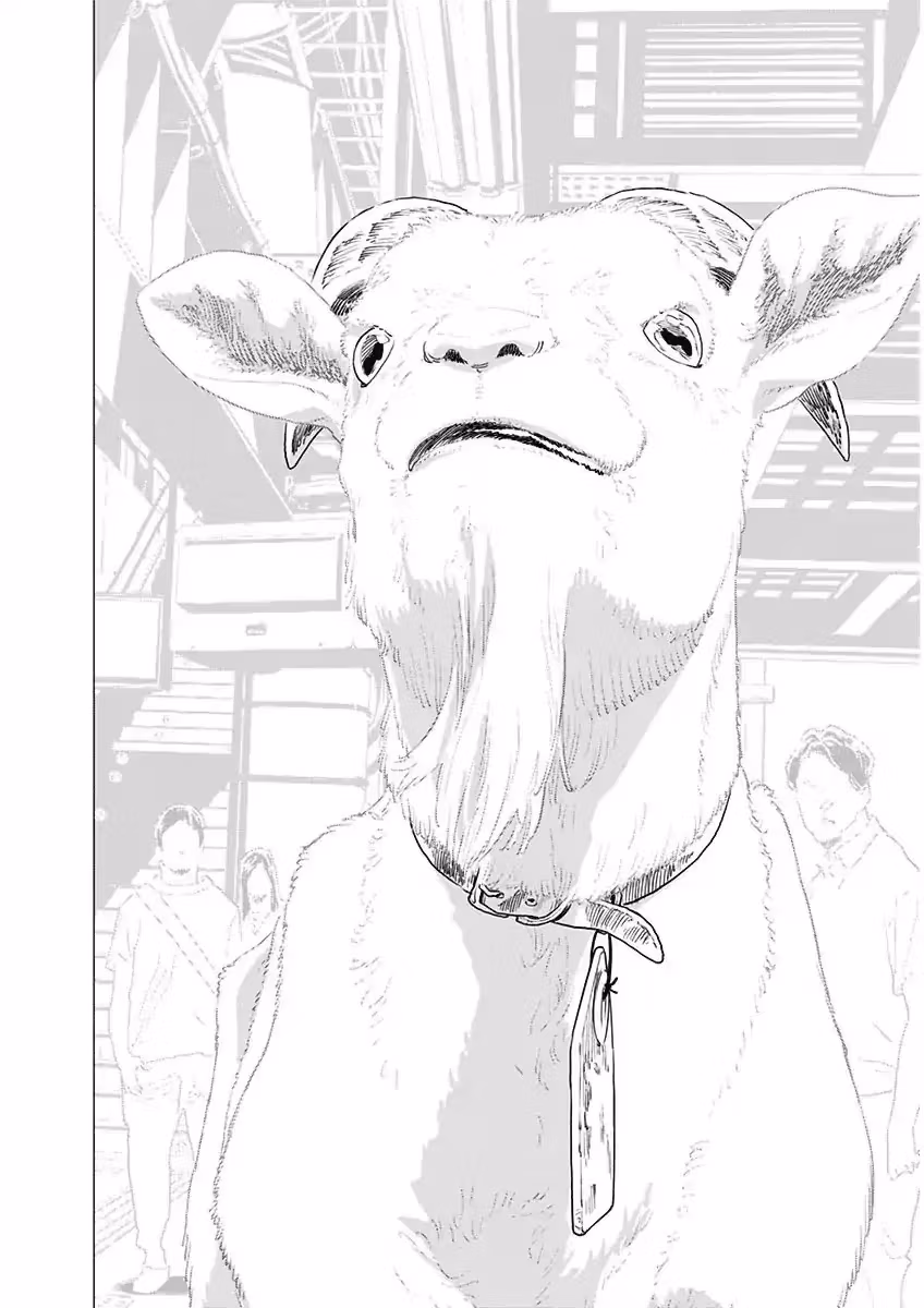 My Capricorn friend Chapter 5 page 11 - 