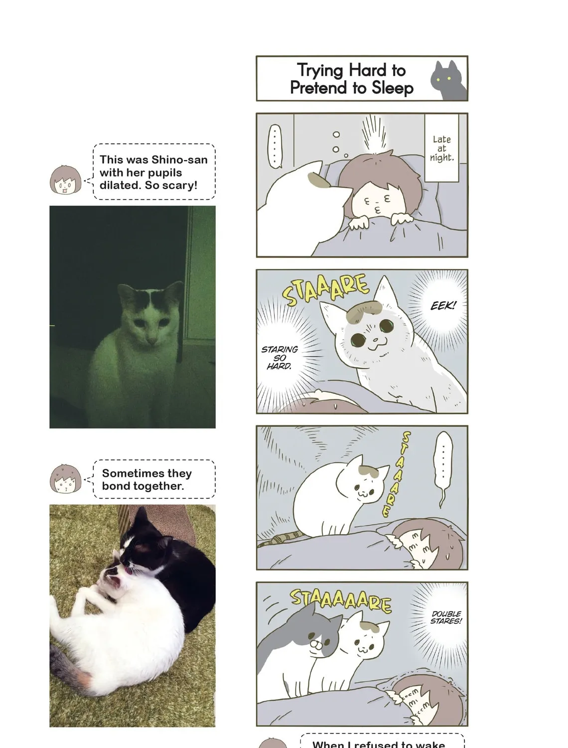 My Cat is Such a Weirdo Chapter 1 page 13 - 