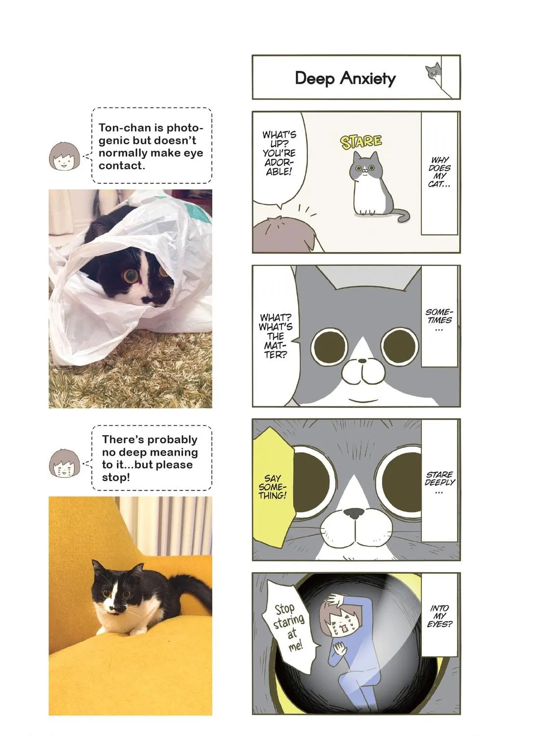 My Cat is Such a Weirdo Chapter 1 page 17 - 