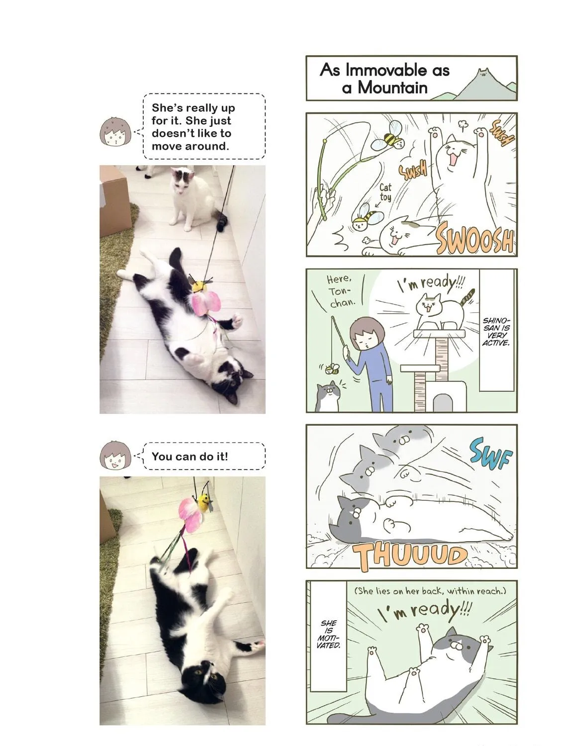 My Cat is Such a Weirdo Chapter 1 page 19 - 