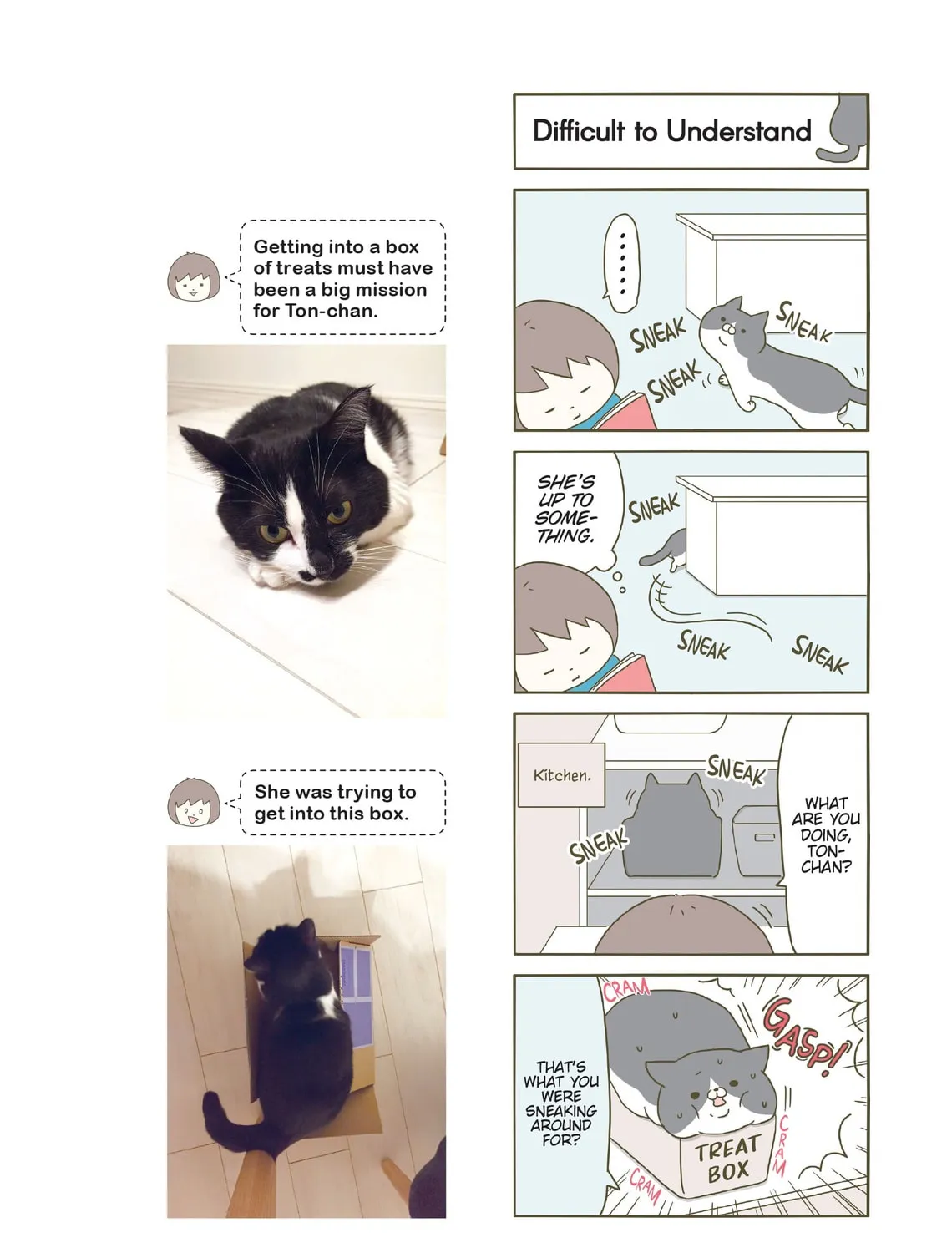 My Cat is Such a Weirdo Chapter 1 page 3 - 