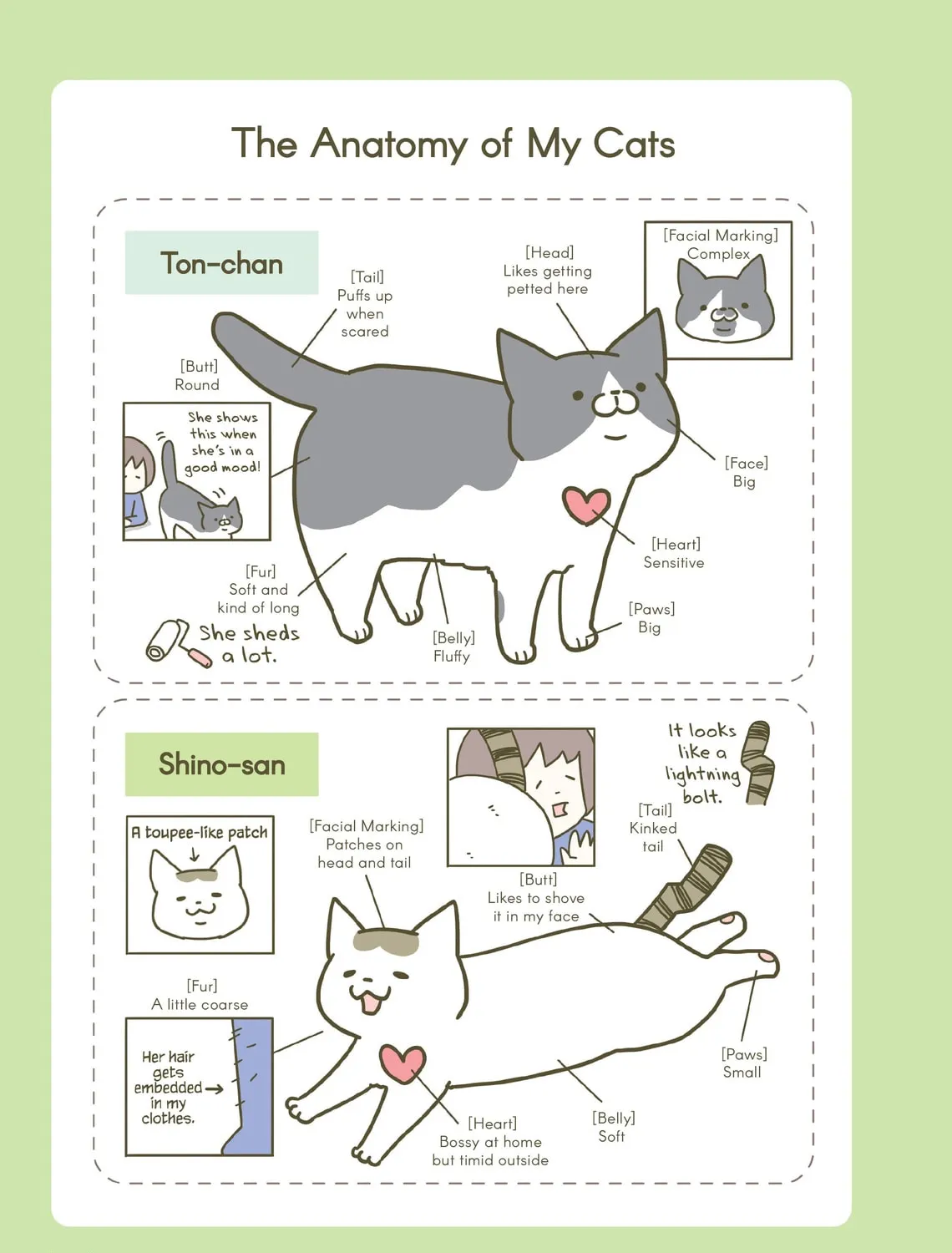 My Cat is Such a Weirdo Chapter 1 page 21 - 