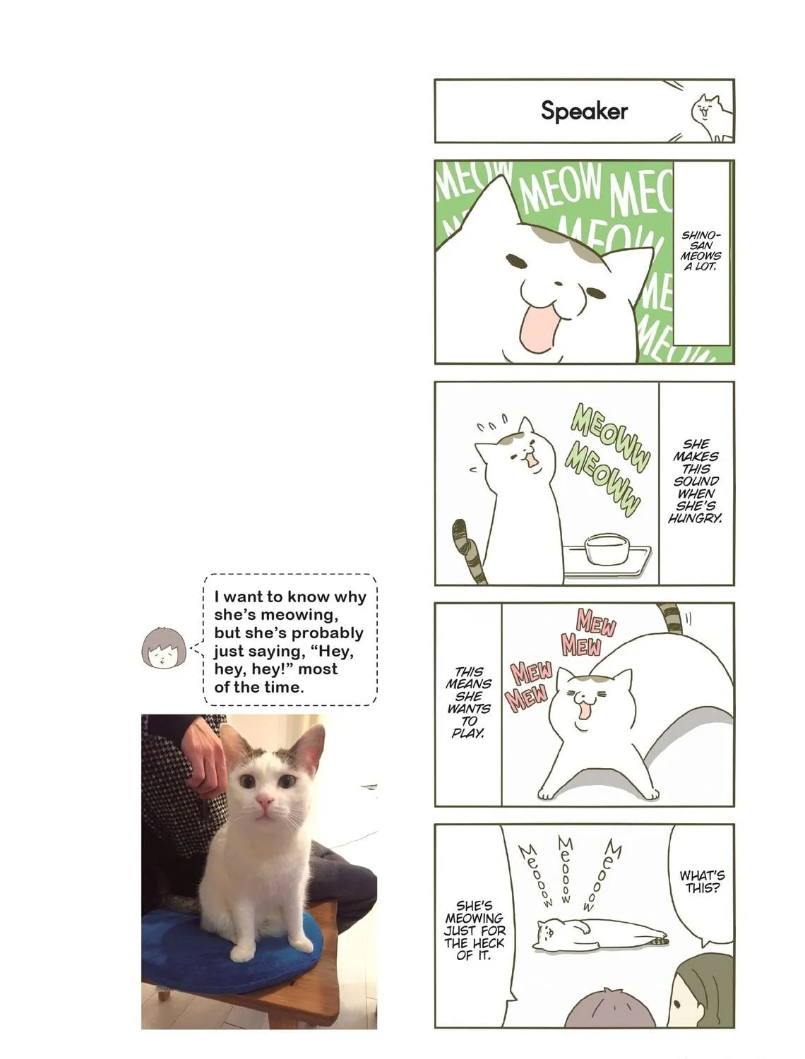 My Cat is Such a Weirdo Chapter 1 page 23 - 