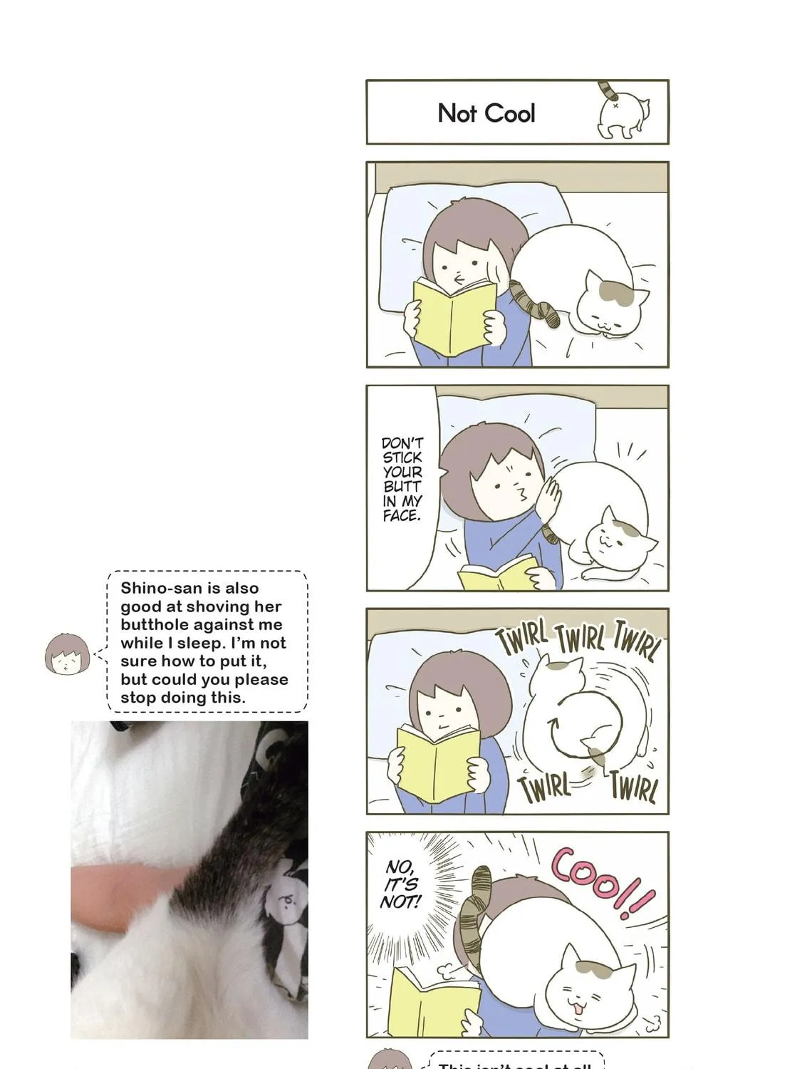 My Cat is Such a Weirdo Chapter 1 page 29 - 