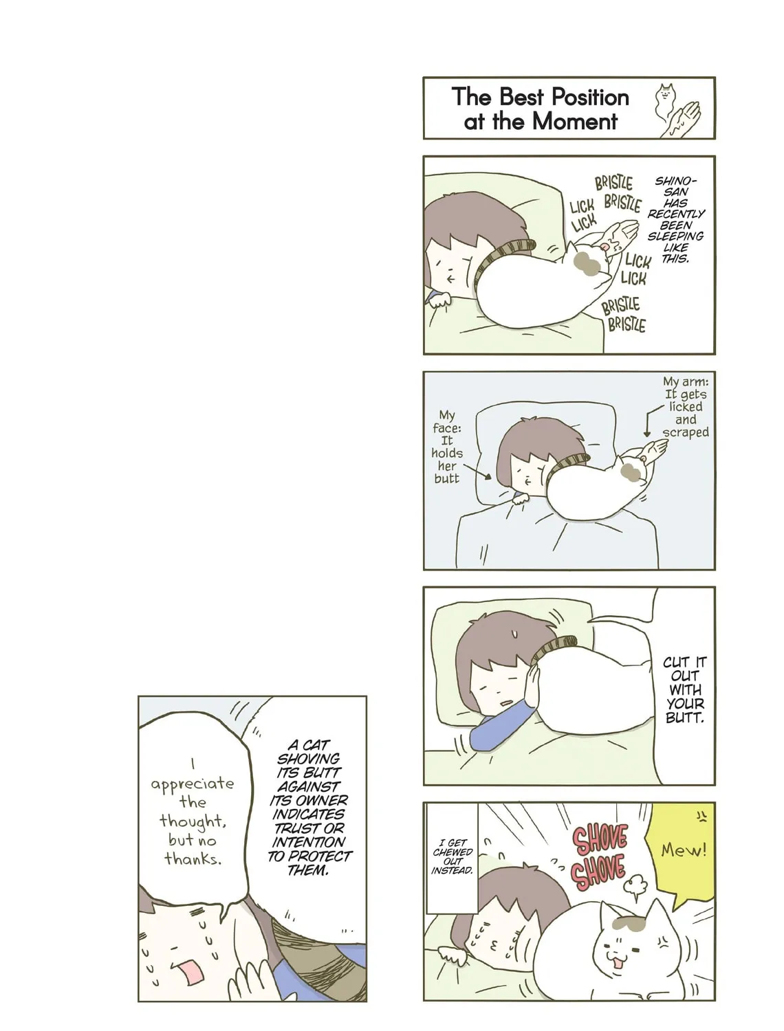My Cat is Such a Weirdo Chapter 1 page 31 - 