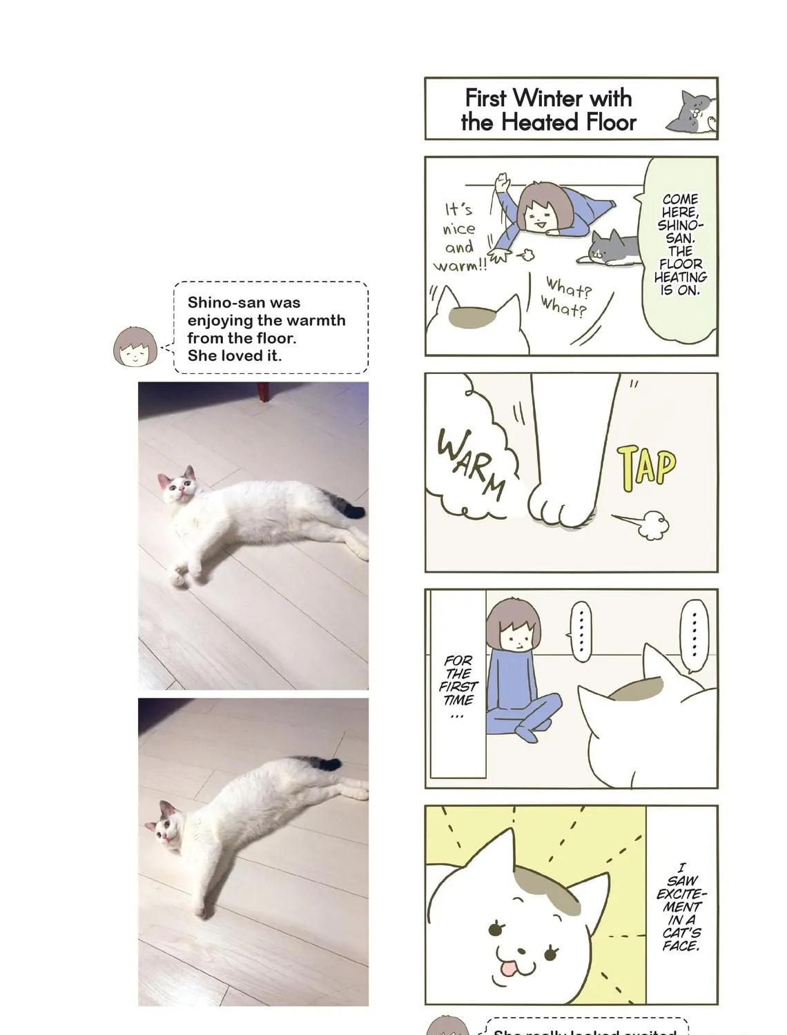 My Cat is Such a Weirdo Chapter 1 page 35 - 