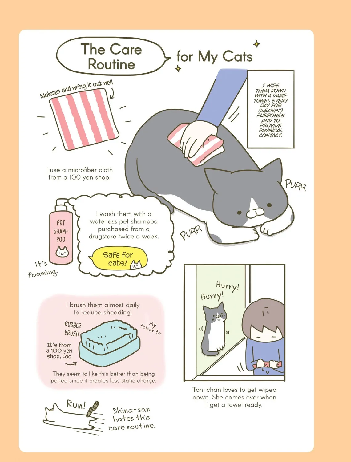My Cat is Such a Weirdo Chapter 1 page 37 - 