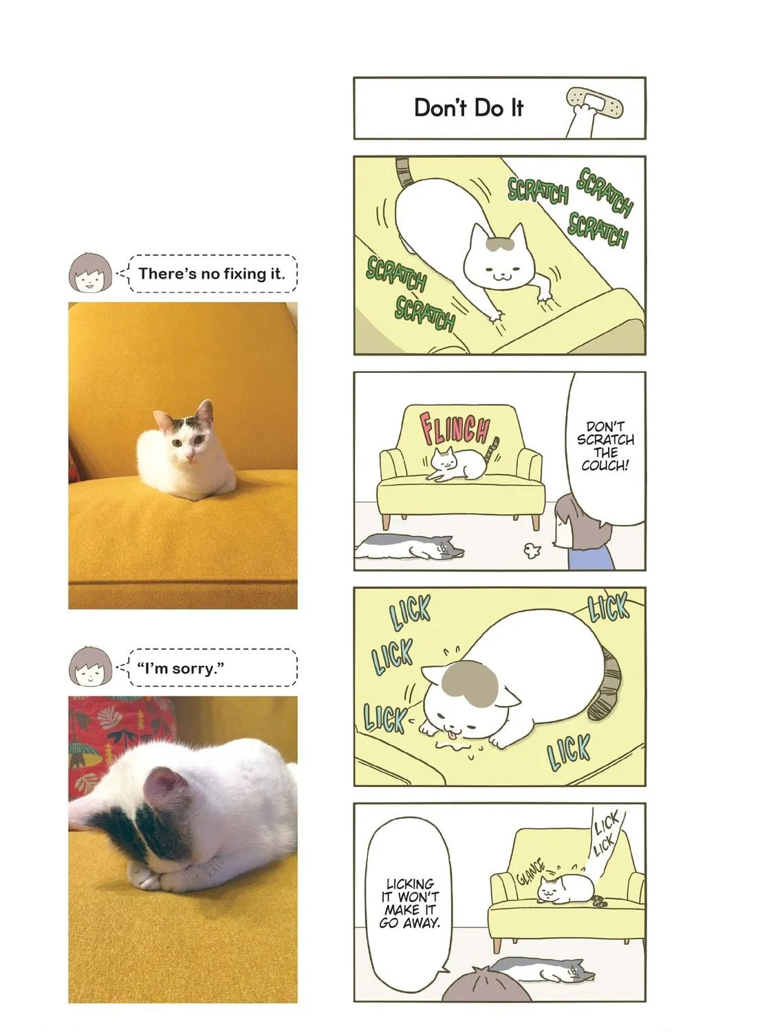 My Cat is Such a Weirdo Chapter 1 page 5 - 