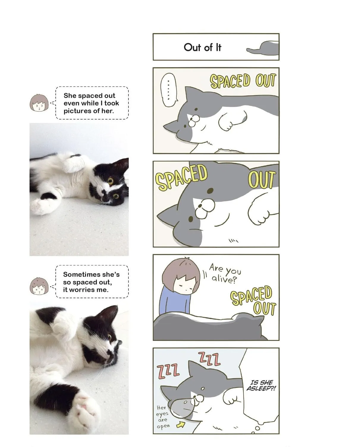 My Cat is Such a Weirdo Chapter 1 page 41 - 