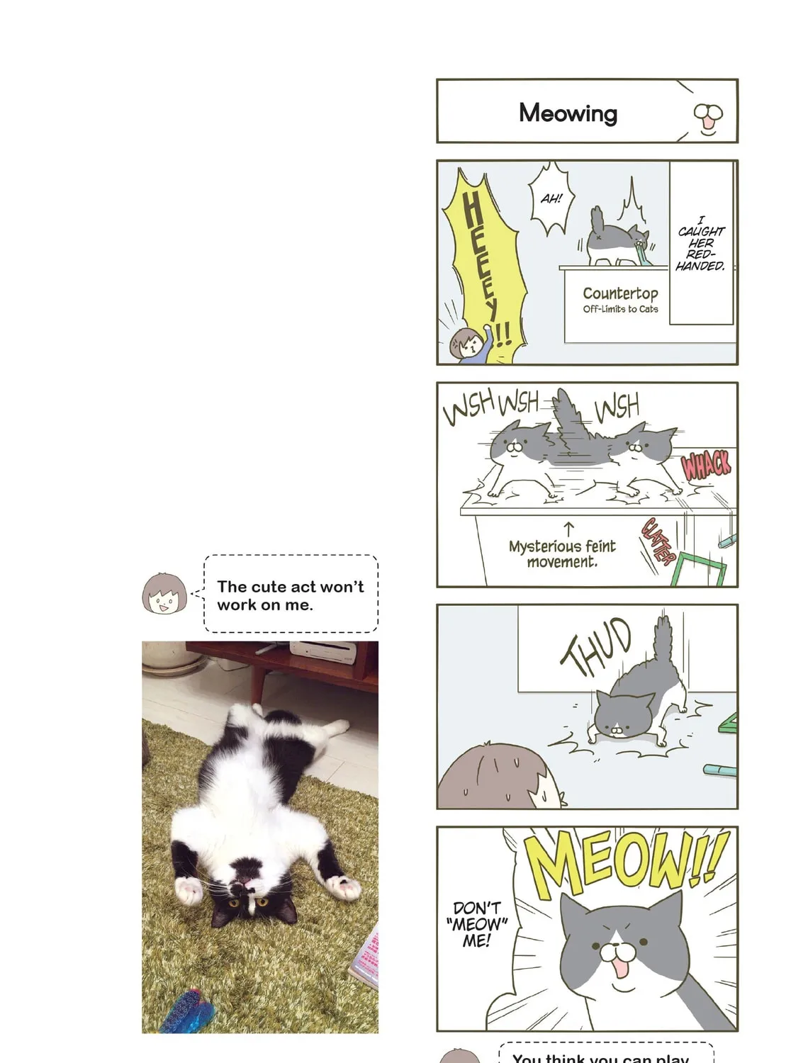 My Cat is Such a Weirdo Chapter 1 page 7 - 