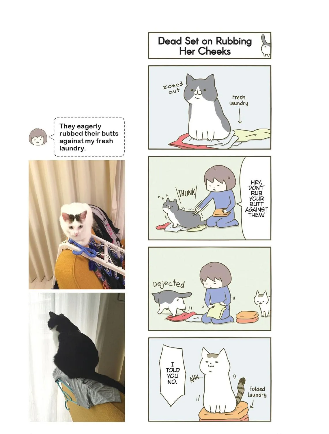 My Cat is Such a Weirdo Chapter 1 page 9 - 