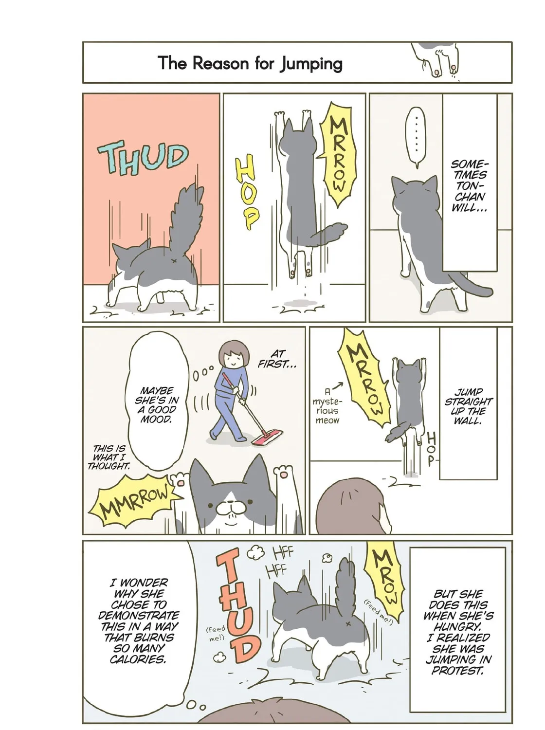 My Cat is Such a Weirdo Chapter 10 page 7 - 
