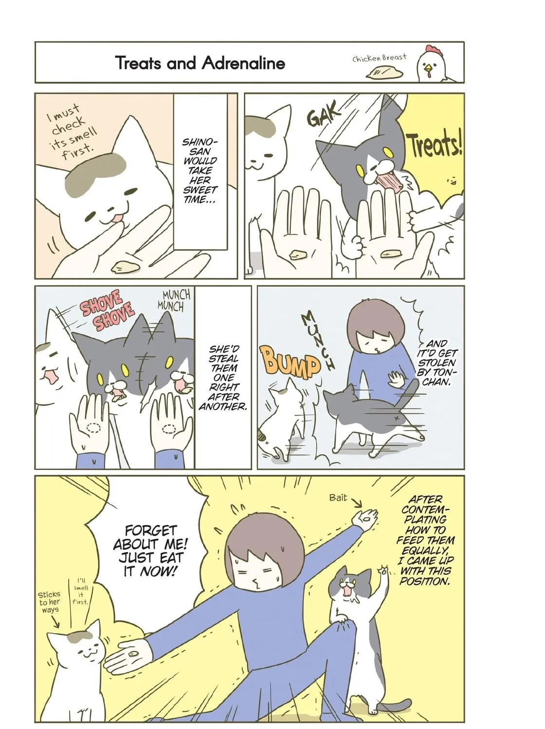 My Cat is Such a Weirdo Chapter 10 page 9 - 