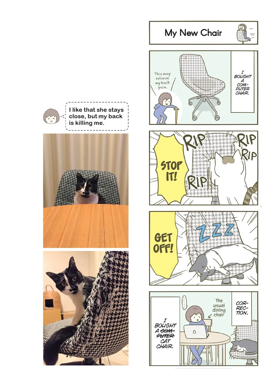 My Cat is Such a Weirdo Chapter 11 page 3 - 