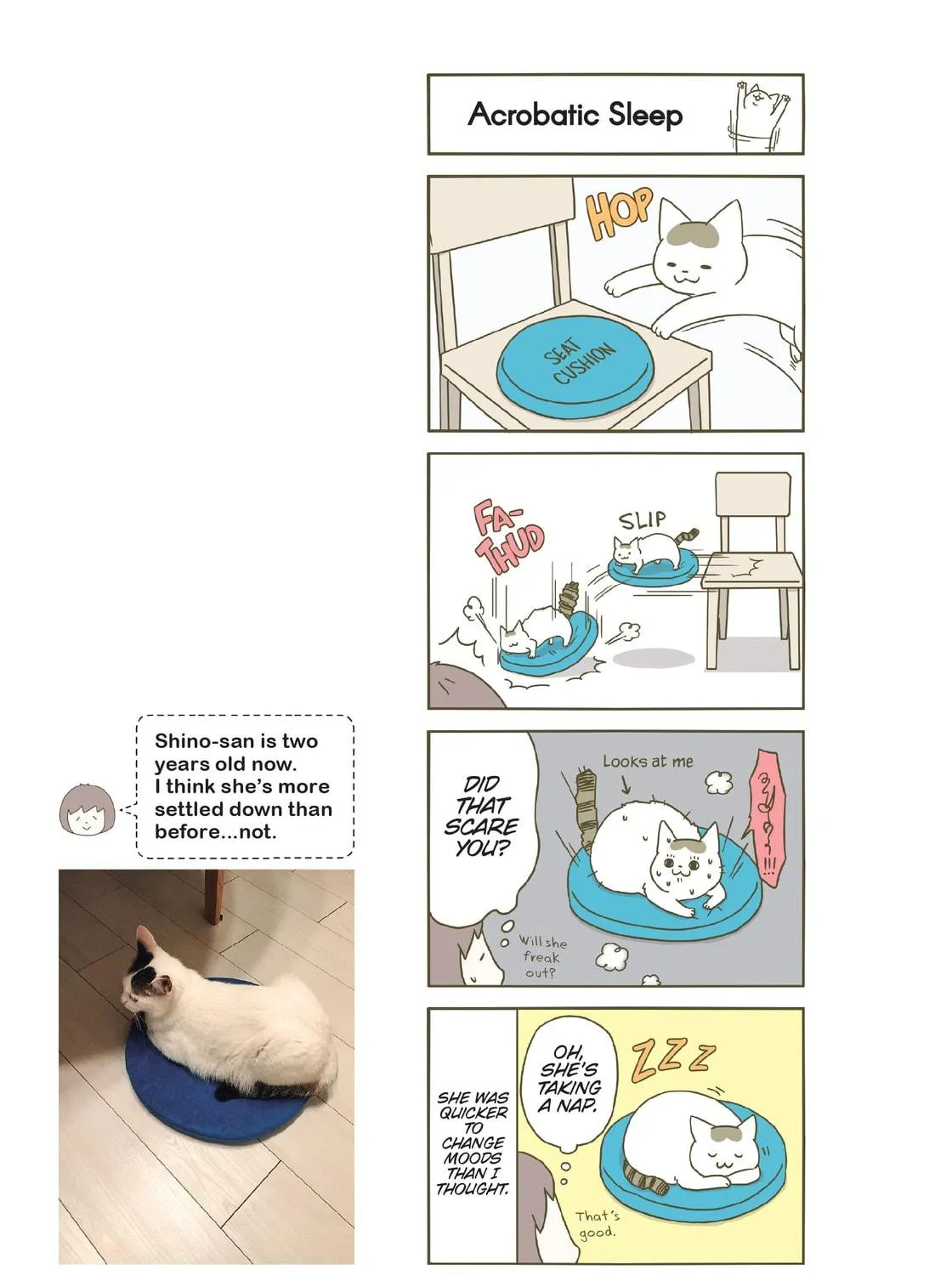 My Cat is Such a Weirdo Chapter 11 page 5 - 
