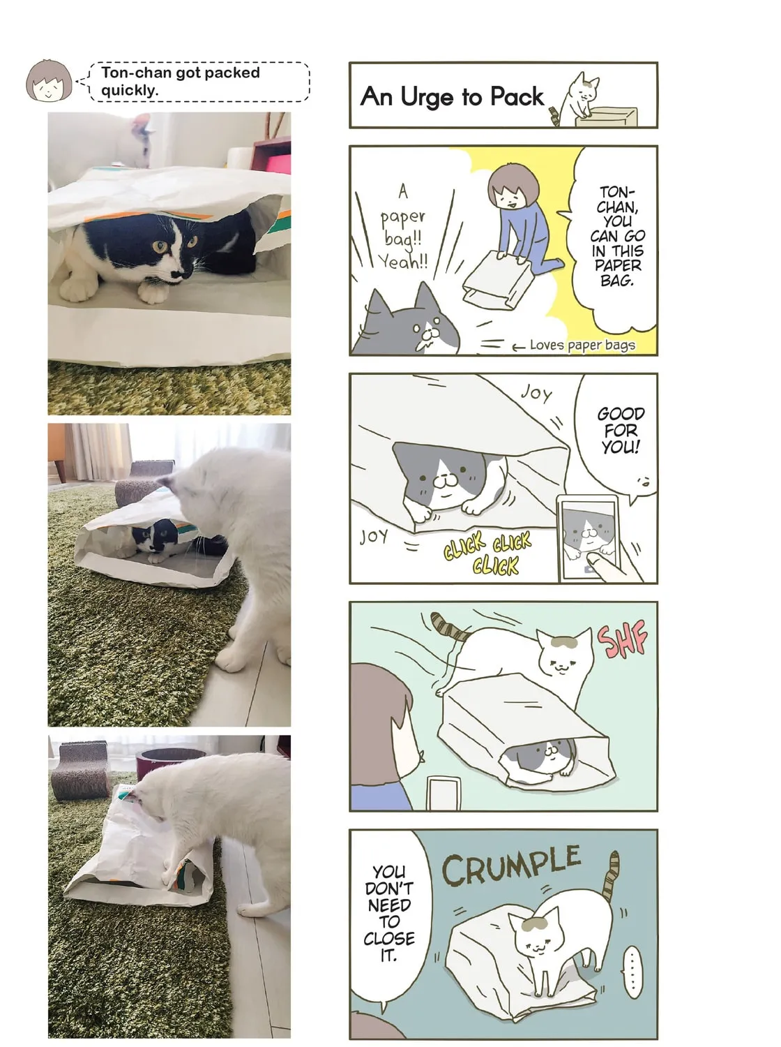 My Cat is Such a Weirdo Chapter 11 page 45 - 